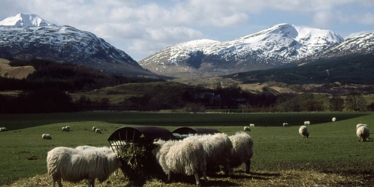 Crianlarich Station, looking