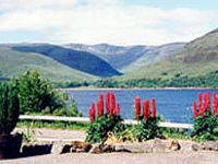 Click to look at Alt-an Lodge B&B accommodation details