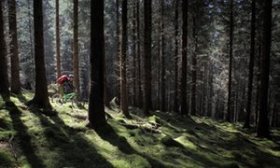 The old Caledonian woodland forms an element of the route